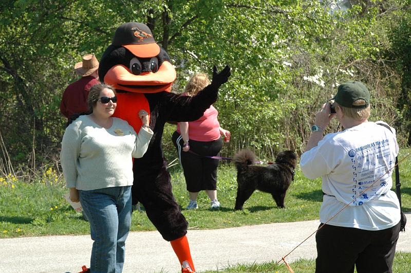 NAMIWalk07 (113) 
